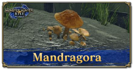 mhw mandragora